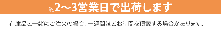 約2〜3営業日で出荷